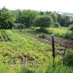 Продам дачну ділянку в Івано-Франківську