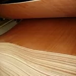 ДВП плита шпонована з швидкою відправкою по Україні. Послуги порізки.
