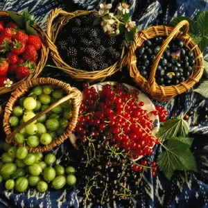 Продажа ягод,  овощей,  фруктов.Оптом и в розницу.