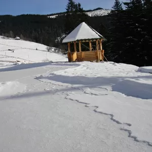 Коттедж в Карпатах,  сауна с бассейном НЕДОРОГО!!!