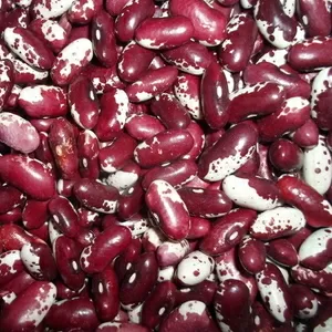 Квасоля в наявності. Продаж квасолі. Купити квасолю.