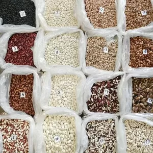 Квасоля: Ліма,  Мавка,  Рубін,  Бандоля,  Неві,  Пінто та ін