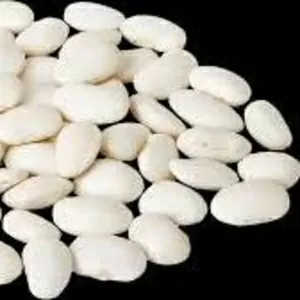 Закуповуємо квасолю по всій Україні з організацією самовивоз