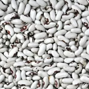 Високоякісна квасоля від виробника.