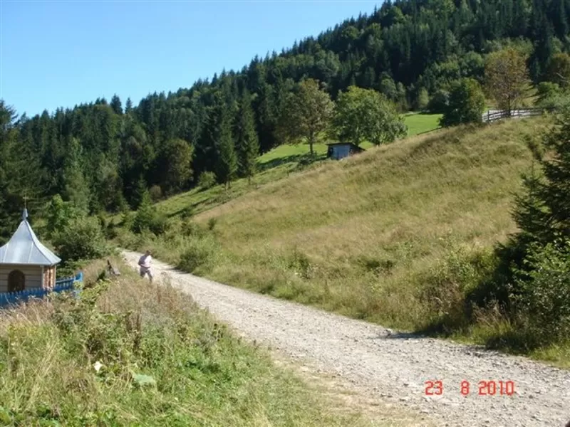  Перспективный  участок в селе Буковец,  Верховинского района,  2