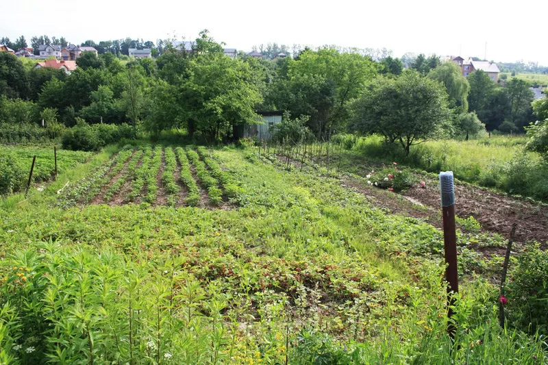 Продам дачну ділянку в Івано-Франківську