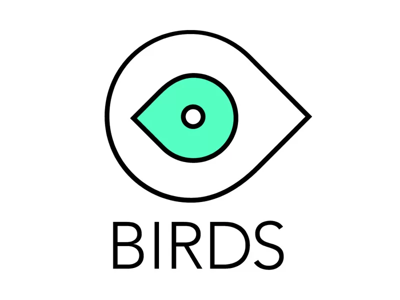 Видео продакшн студия BIRDS - производство рекламных роликов