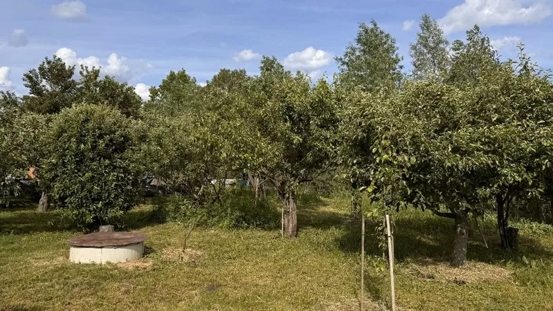 Продам власний будинок 5