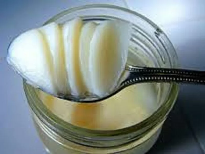 Скупка отработанных растительных масел и технических жиров. 